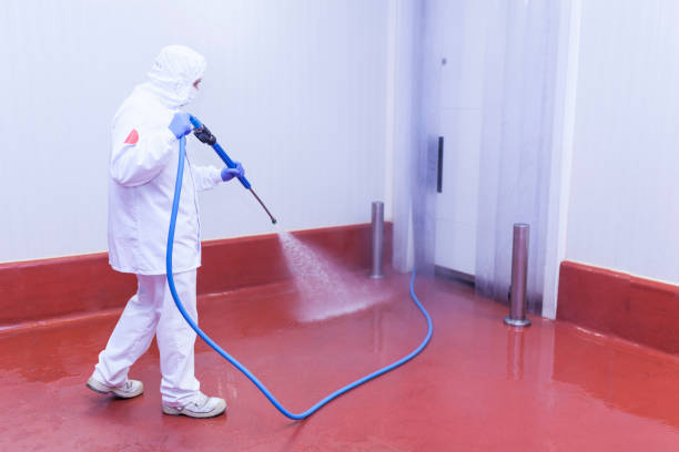 Best Pre-Holiday Cleaning  in Everett, MA